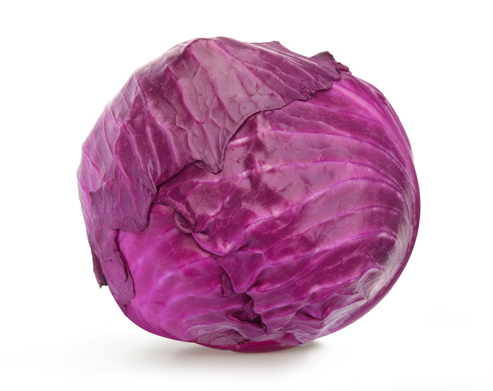 Chou rouge /Pièce